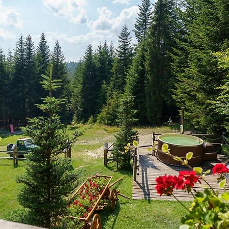 Вилла Lesna Bacowka Новы-Тарг Экстерьер фото