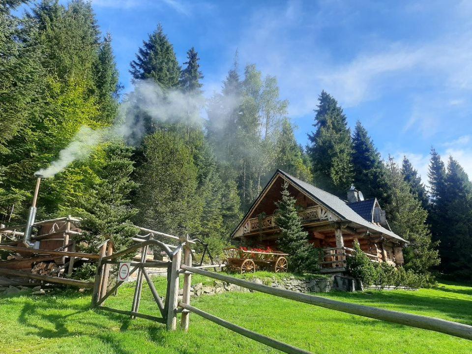 Вилла Lesna Bacowka Новы-Тарг Экстерьер фото