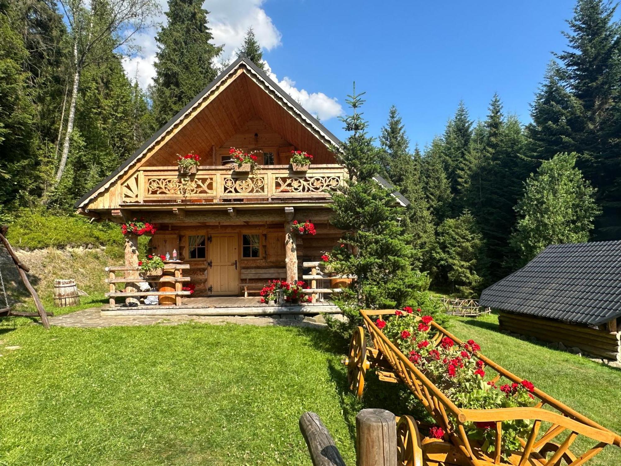 Вилла Lesna Bacowka Новы-Тарг Экстерьер фото